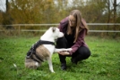 Hundephysio