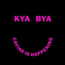 KYA BYA (Suisse) SA