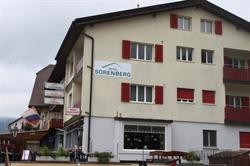 Hotel Sörenberg