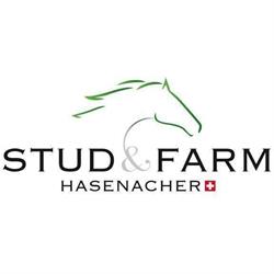Stud & Farm Hasenacher
