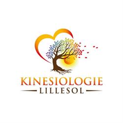 Kinesiologie Lillesol