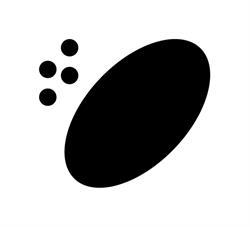 SALEM CUM PANE