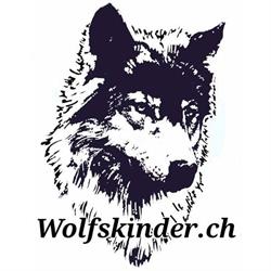 Wolfskinder.ch Hundeschule