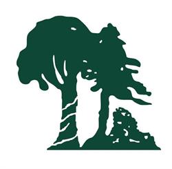 Re-Forest GmbH