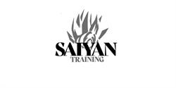 Saiyan Training