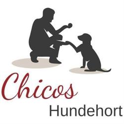 Chicos Hundehort GmbH