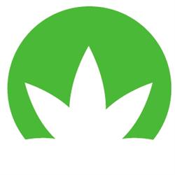 Let's Grow