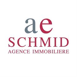 AE Schmid SA