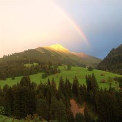 Akupunktur Praxis Gstaad