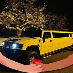 Hummer-Zuerich