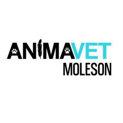 Animavet Moléson