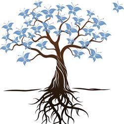 L’éveil de Soi – Kinésiologie, Hypnose & Soins énergétiques
