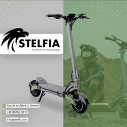 Trottinette électrique Lausanne (Stelfia)