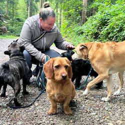 Dog-Care