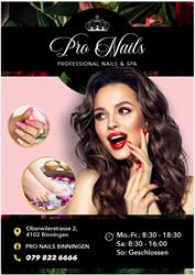 Pro nails Binningen