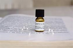 Praxis für Homöopathie Beatrice Soldat