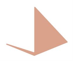 Plastic Surgery Pyramide