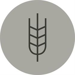 Bäckerei Konditorei Grossenbacher AG
