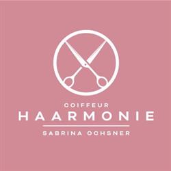 Coiffeur Haarmonie Gross