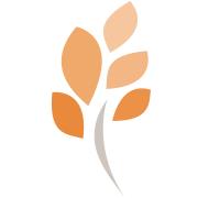 Nutrition, Forme et Santé
