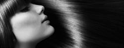 ECCO Coiffure