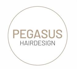 PEGASUS Hairdesign