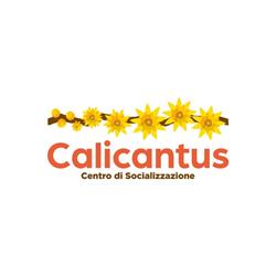 Calicantus-centro di socializzazione