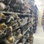 Large stock de gants de boxe, gants de Muay Thaï et gants MMA disponibles chez CombatCorner.ch – RDX, Fairtex, Phantom Athletics et autres grandes marques, avec retrait en Suisse ou livraison rapide.