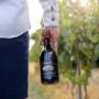 Tokaji Mandulás Furmint trockener, strohgelber Weisswein mit Zitrusaromen, grüner Apfel und mineralischer Frische. Säure und saftiges Mundgefühl am Gaumen. Ausgewogen, charaktervoll mit eleganter Fruchtstruktur. Die Trauben stammen aus der Einzellage