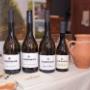 Carpinus Weinlinie - Furmint, Hárslevelű - Lindenblättriger - Grand Reserve Furmint, Late Harvest Furmint