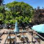Stöckli's Biergarten Murten
