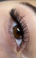 Extension de cils