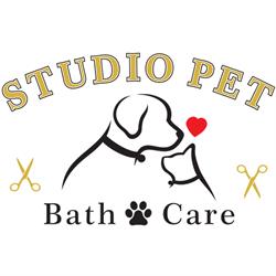 Studio Pet Zürich