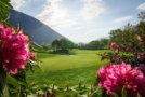 Golf Course