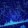 Den Energieverbrauch intelligent steuern: Optimieren Sie Ihr Energiesystem und behalten Sie es im Blick. Die intelligente AEW myHome Steuerung bildet das Herzstück von AEW myHome.