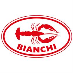 G. Bianchi AG