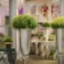 Blumen Locher Winterthur