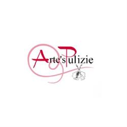Arte's Pulizie