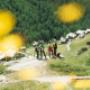 Wandergebiet am Matterhorn