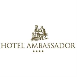 Hotel Ambassador Brig