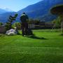 Gartenbau Wallis