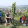 NEUKOM.WEINGUT