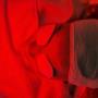 Rotes LED-Licht kurbelt die Kollagenproduktion an. Feine Linien können dadurch aufgepolstert und die Entstehung neuer Falten verlangsamt werden. Nebenbei regt die Behandlung mit rotem Licht die Durchblutung an und kann dadurch für einen frischeren Teint
