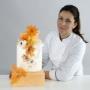 Cake Manufaktur, Hochzeitstorte, Wedding cake, Design cake
