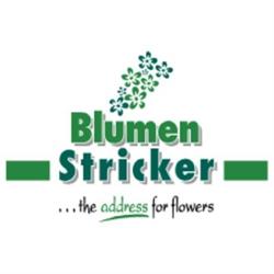 Blumen Stricker