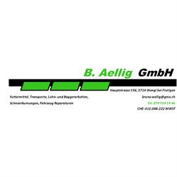 B. Aellig Gmbh
