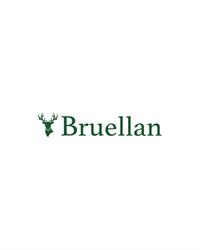 Bruellan SA