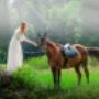 Magie der Prinzessin mit dem Pferd im Land der Elfen.