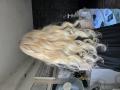 Haarverlängerung mit Genius Wefts
