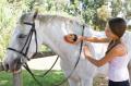 Équitation 7 - 15 ans